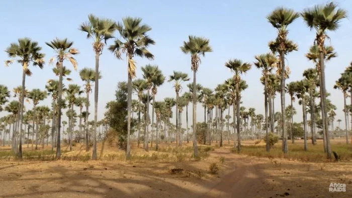 Un jour dans le Saloum