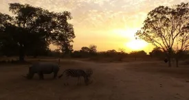 Au Coeur du Saloum