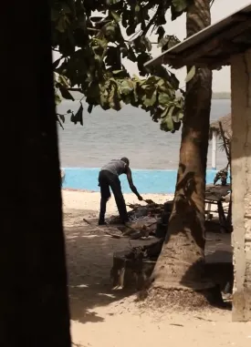 Journée en Casamance — Immersion au cœur des paysages les plus emblématiques